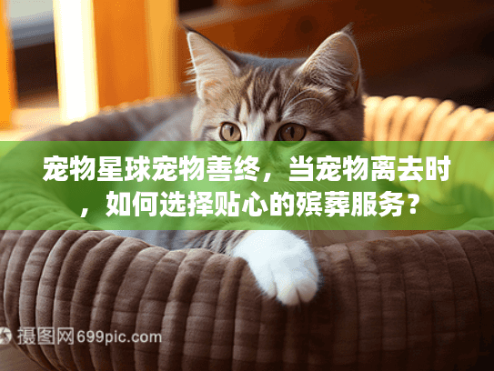 宠物星球宠物善终，当宠物离去时，如何选择贴心的殡葬服务？