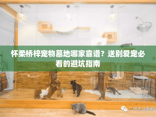 怀柔桥梓宠物墓地哪家靠谱？送别爱宠必看的避坑指南