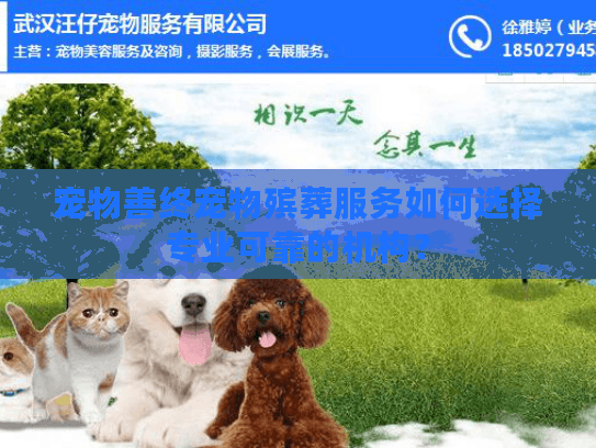 宠物善终宠物殡葬服务如何选择专业可靠的机构？