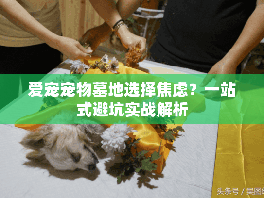 爱宠宠物墓地选择焦虑？一站式避坑实战解析