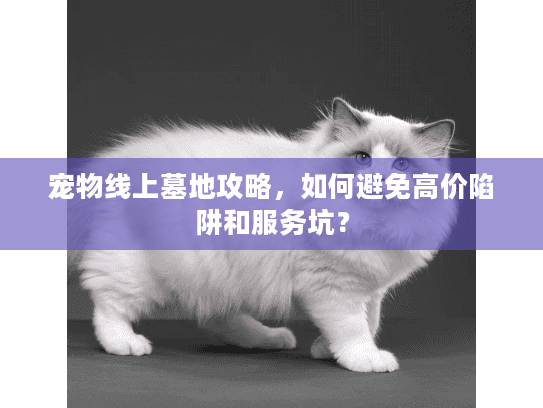 宠物线上墓地攻略,如何避免高价陷阱和服务坑? 宠物线上墓地攻略,如何避免高价陷阱和服务坑?