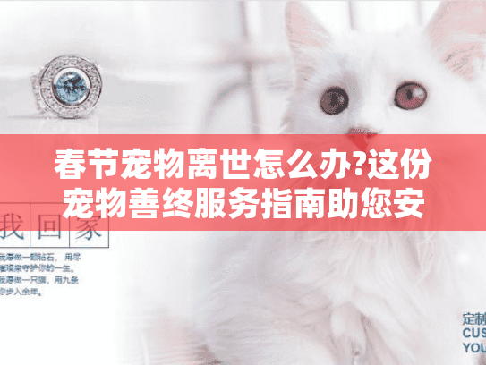 春节宠物离世怎么办?这份宠物善终服务指南助您安心送别