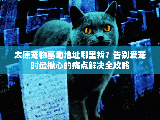 太原宠物墓地地址哪里找？告别爱宠时最揪心的痛点解决全攻略
