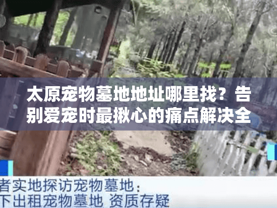 太原宠物墓地地址哪里找？告别爱宠时最揪心的痛点解决全攻略