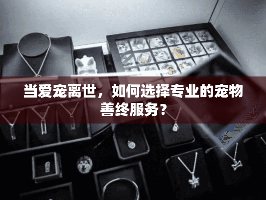 当爱宠离世，如何选择专业的宠物善终服务？