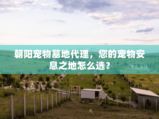 朝阳宠物墓地代理，您的宠物安息之地怎么选？