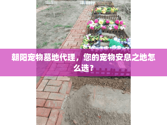 朝阳宠物墓地代理，您的宠物安息之地怎么选？