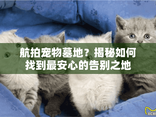 航拍宠物墓地?揭秘如何找到最安心的告别之地 航拍宠物墓地?揭秘如何找到最安心的告别之地