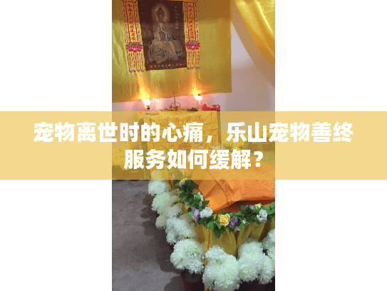 宠物离世时的心痛，乐山宠物善终服务如何缓解？