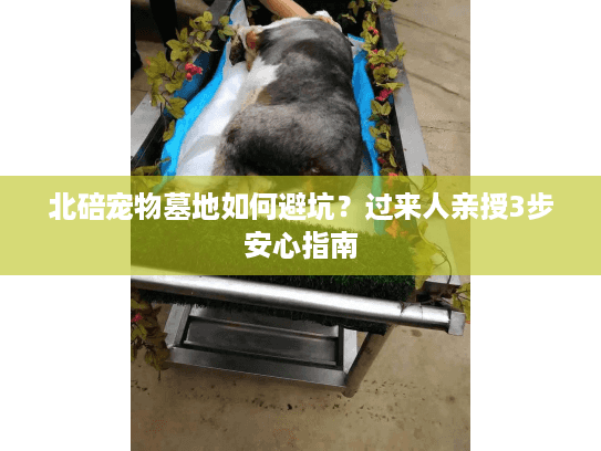 北碚宠物墓地如何避坑？过来人亲授3步安心指南