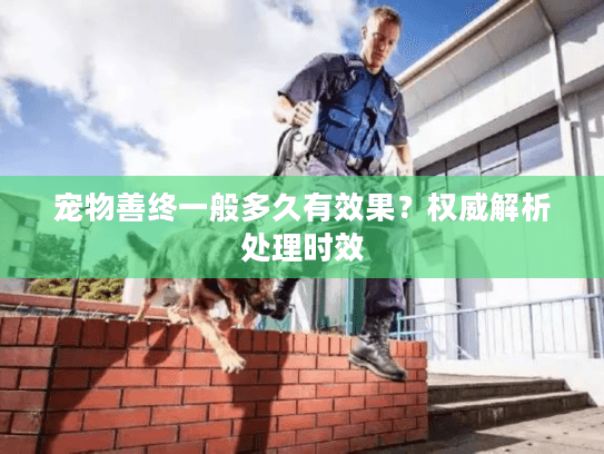 宠物善终一般多久有效果？权威解析处理时效