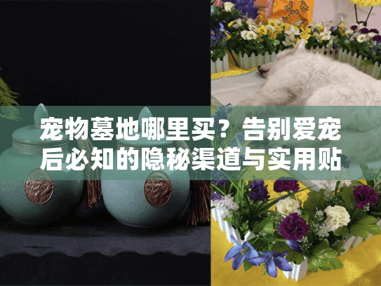 宠物墓地哪里买？告别爱宠后必知的隐秘渠道与实用贴士