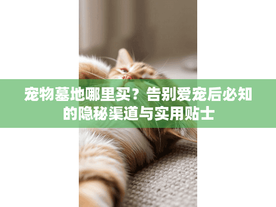 宠物墓地哪里买？告别爱宠后必知的隐秘渠道与实用贴士
