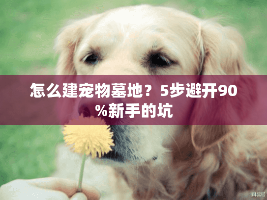 怎么建宠物墓地？5步避开90%新手的坑