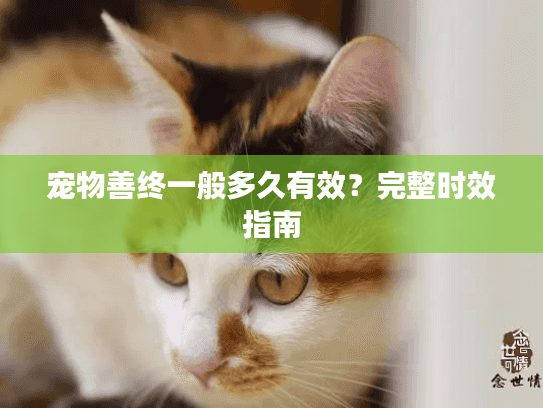 宠物善终一般多久有效？完整时效指南