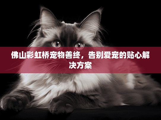 佛山彩虹桥宠物善终，告别爱宠的贴心解决方案