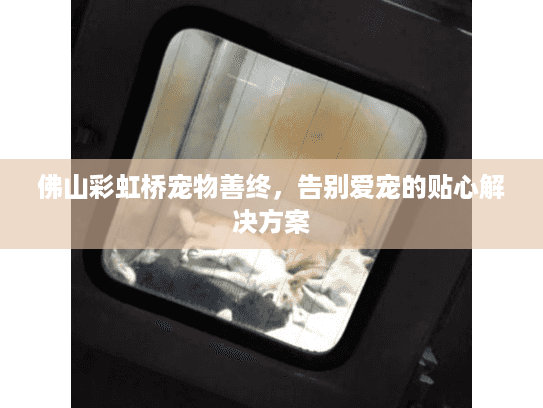 佛山彩虹桥宠物善终，告别爱宠的贴心解决方案