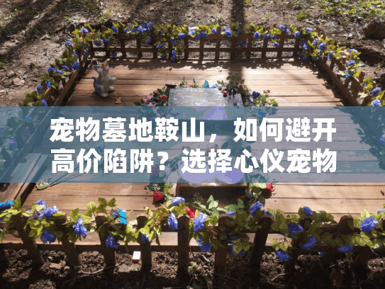 宠物墓地鞍山，如何避开高价陷阱？选择心仪宠物殡葬服务终结情感迷茫！