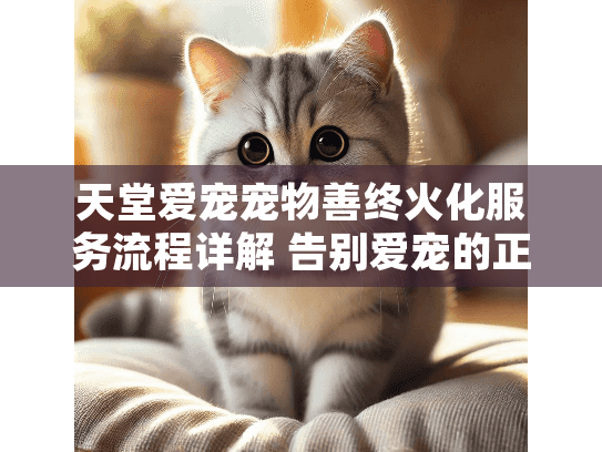 天堂爱宠宠物善终火化服务流程详解 告别爱宠的正确方式