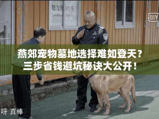 燕郊宠物墓地选择难如登天?三步省钱避坑秘诀大公开! 燕郊宠物墓地选择难如登天?三步省钱避坑秘诀大公开!