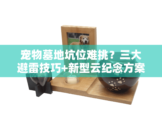 宠物墓地坑位难挑?三大避雷技巧+新型云纪念方案解析 宠物墓地坑位难挑?三大避雷技巧+新型云纪念方案解析
