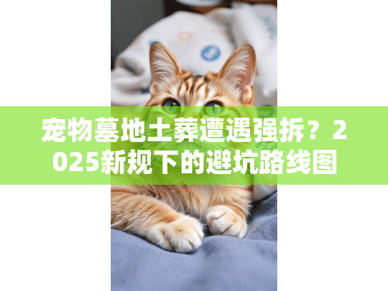 宠物墓地土葬遭遇强拆？2025新规下的避坑路线图