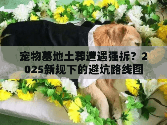 宠物墓地土葬遭遇强拆？2025新规下的避坑路线图