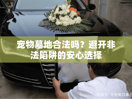 宠物墓地合法吗？避开非法陷阱的安心选择