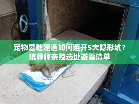 宠物墓地建造如何避开5大隐形坑？殡葬师亲授选址避雷清单