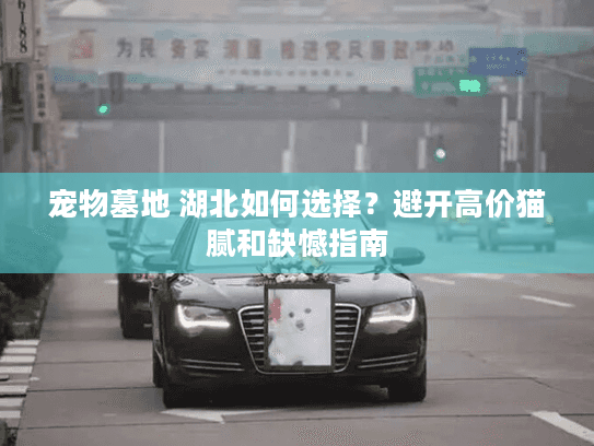 宠物墓地 湖北如何选择？避开高价猫腻和缺憾指南