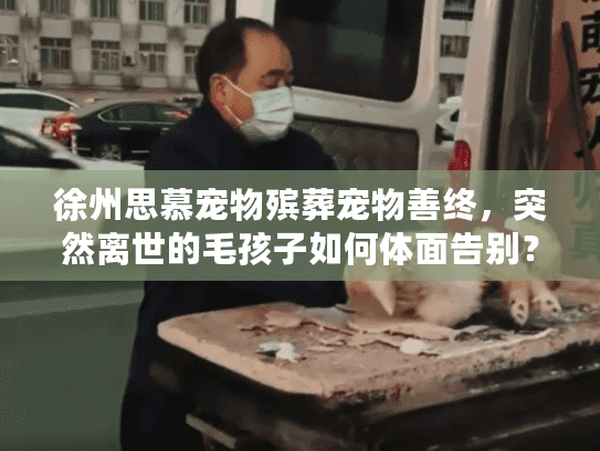 徐州思慕宠物殡葬宠物善终，突然离世的毛孩子如何体面告别？