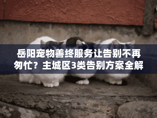 岳阳宠物善终服务让告别不再匆忙？主城区3类告别方案全解析