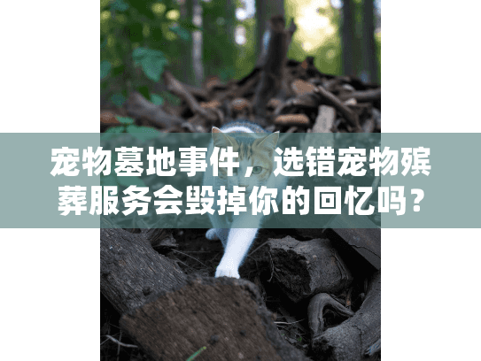 宠物墓地事件，选错宠物殡葬服务会毁掉你的回忆吗？