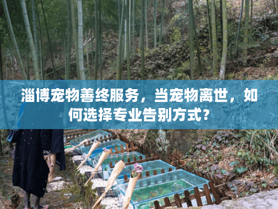淄博宠物善终服务，当宠物离世，如何选择专业告别方式？