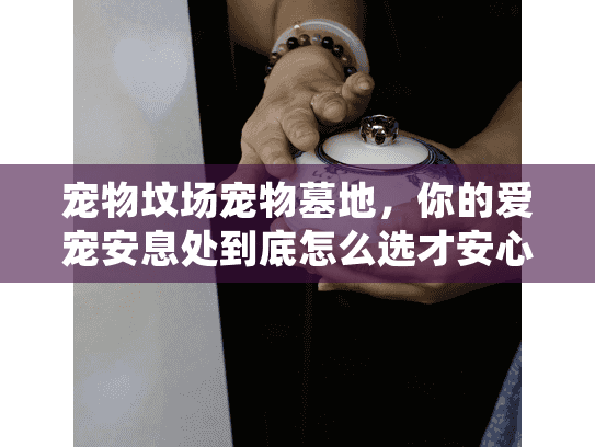 宠物坟场宠物墓地，你的爱宠安息处到底怎么选才安心？