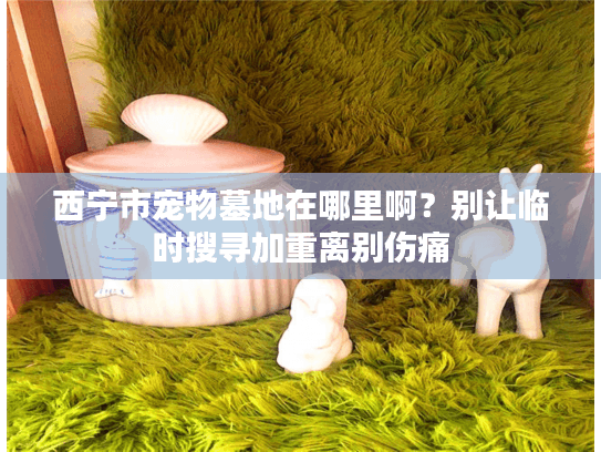 西宁市宠物墓地在哪里啊？别让临时搜寻加重离别伤痛