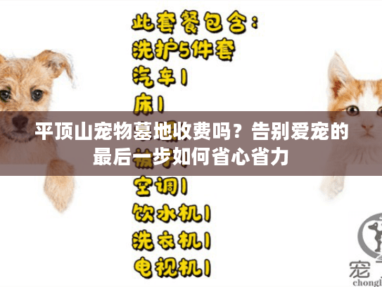 平顶山宠物墓地收费吗？告别爱宠的最后一步如何省心省力