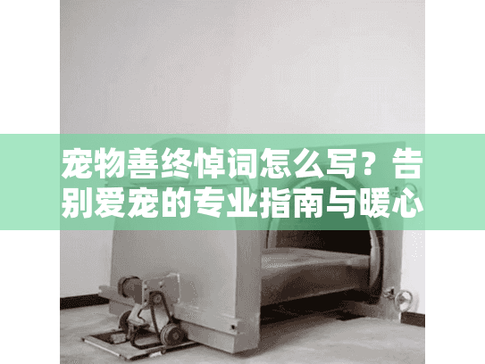 宠物善终悼词怎么写？告别爱宠的专业指南与暖心建议