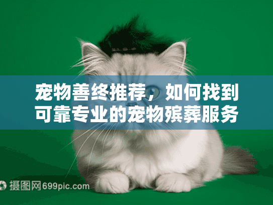 宠物善终推荐，如何找到可靠专业的宠物殡葬服务？