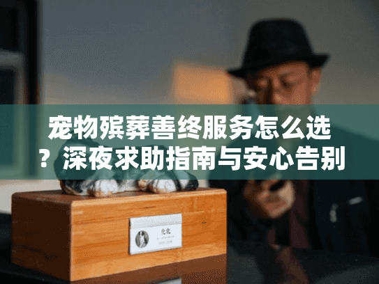 宠物殡葬善终服务怎么选？深夜求助指南与安心告别方案