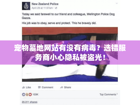 宠物墓地网站有没有病毒？选错服务商小心隐私被盗光！