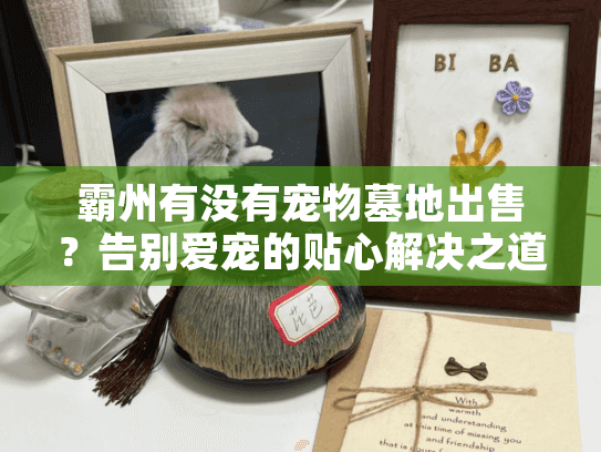 霸州有没有宠物墓地出售？告别爱宠的贴心解决之道