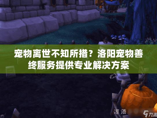 宠物离世不知所措？洛阳宠物善终服务提供专业解决方案