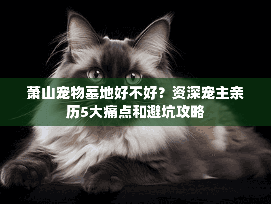 萧山宠物墓地好不好？资深宠主亲历5大痛点和避坑攻略