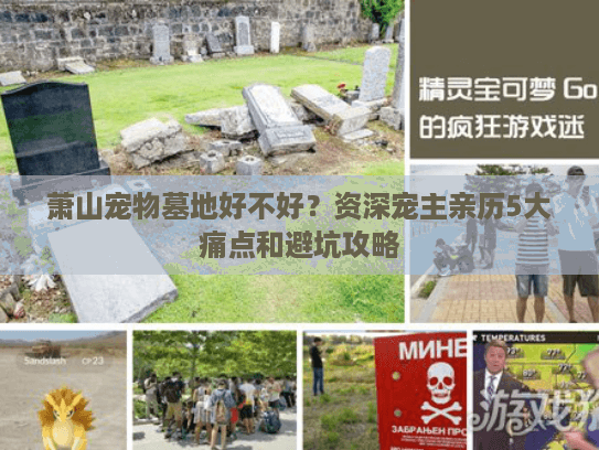 萧山宠物墓地好不好？资深宠主亲历5大痛点和避坑攻略