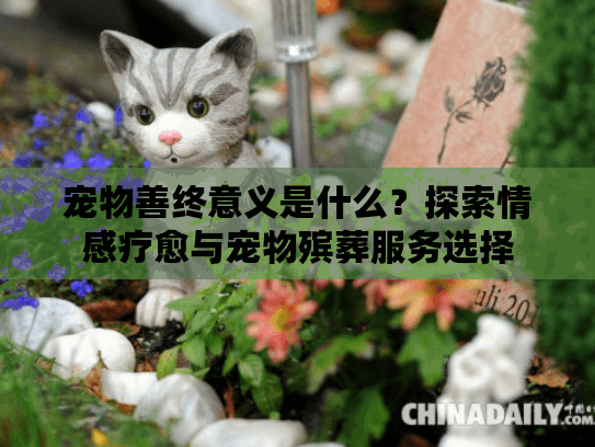 宠物善终意义是什么？探索情感疗愈与宠物殡葬服务选择
