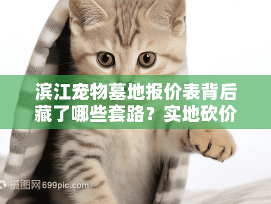 滨江宠物墓地报价表背后藏了哪些套路？实地砍价避坑指南