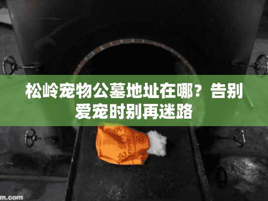 松岭宠物公墓地址在哪？告别爱宠时别再迷路
