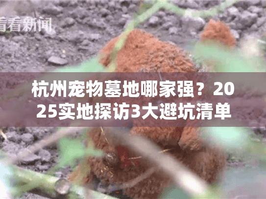 杭州宠物墓地哪家强？2025实地探访3大避坑清单