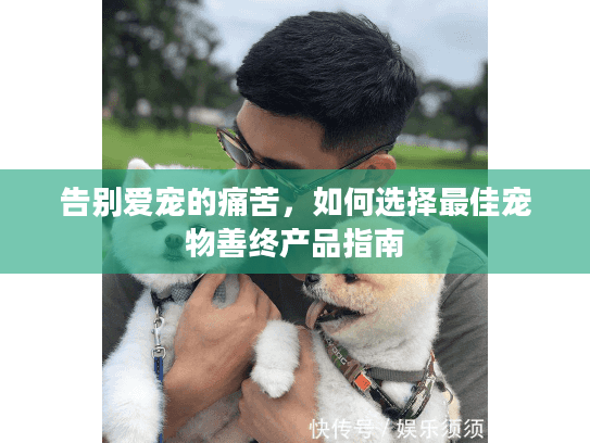 告别爱宠的痛苦，如何选择最佳宠物善终产品指南